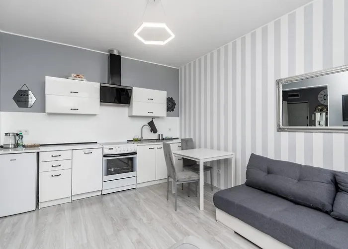 Cegielniana Grey By Bookinghost *