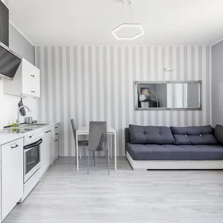 Cegielniana Grey By Bookinghost